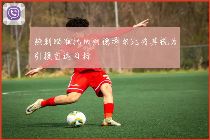 热刺瞄准托纳利德泽尔比将其视为引援首选目标