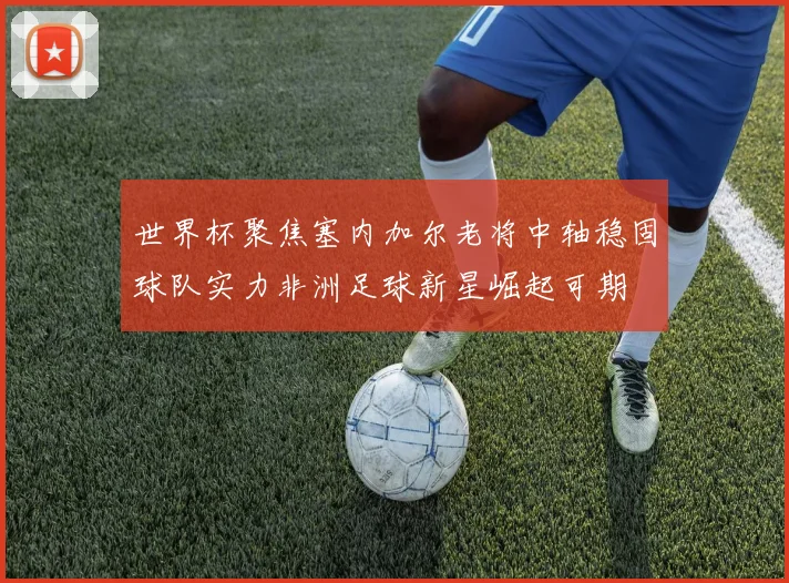 世界杯聚焦塞内加尔老将中轴稳固球队实力非洲足球新星崛起可期